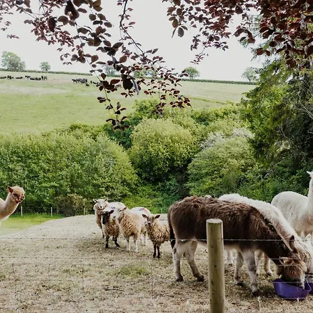 ベッド・アンド・ブレックファスト Smeaton Farm Luxury セント・メスリオン